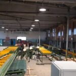 conveyor wood log 2