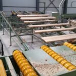 conveyor wood log 20