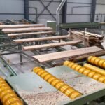 conveyor wood log 21