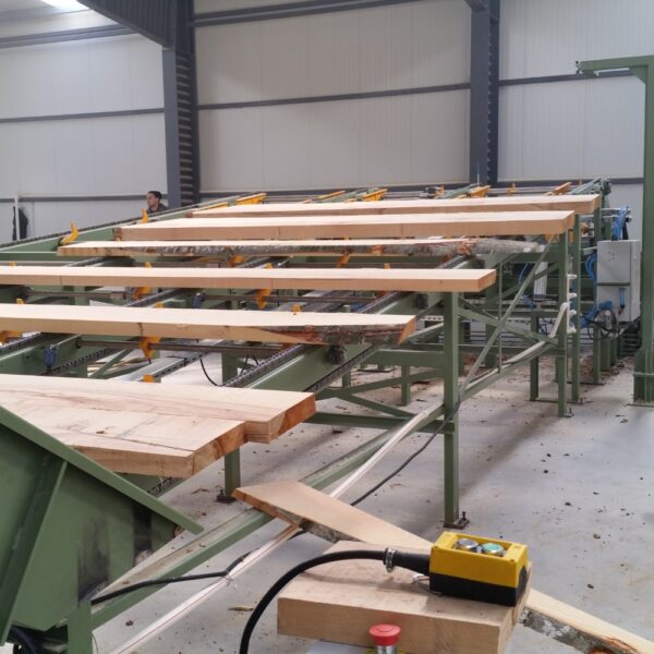 conveyor wood log 4