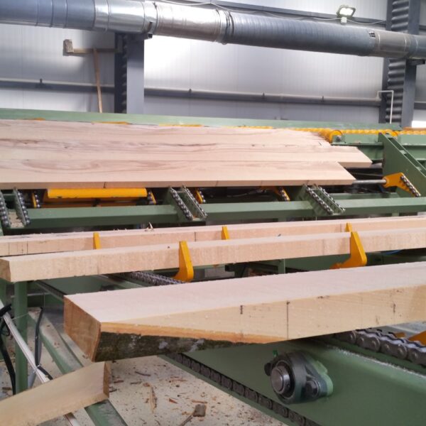 conveyor wood log cheap cut